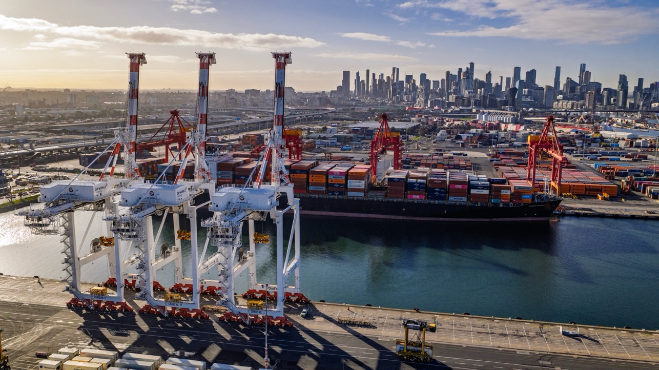 Container terminal cranes with a city skyline beyond